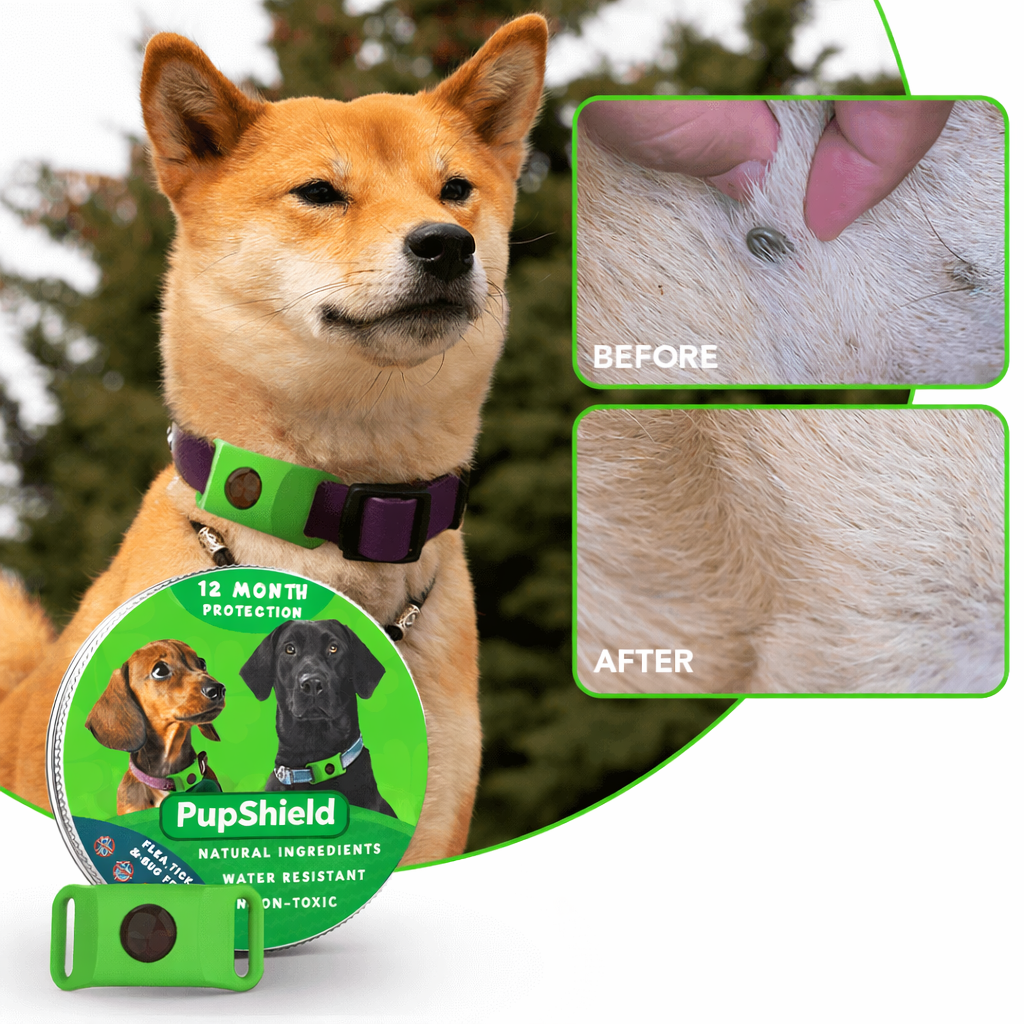 PupShield Pendant (Flea & Tick Repellent)