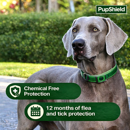 PupShield Pendant (Flea & Tick Repellent)