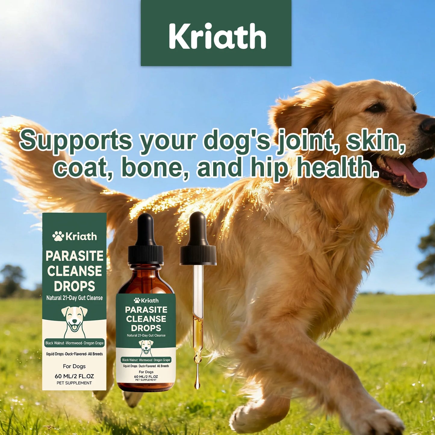 Kriath Pet Digestive Supplement Drops Digestive Comfort Gastrointestinal Health Immune Support Gentle Dog Nutrition Supplement