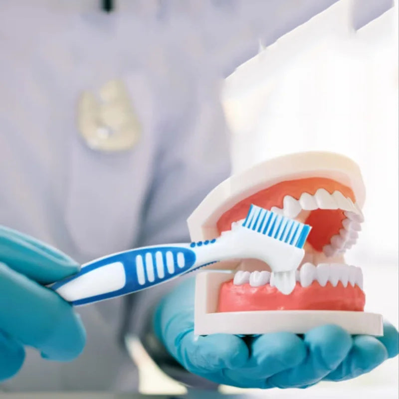 Double Sided Denture ToothBrush