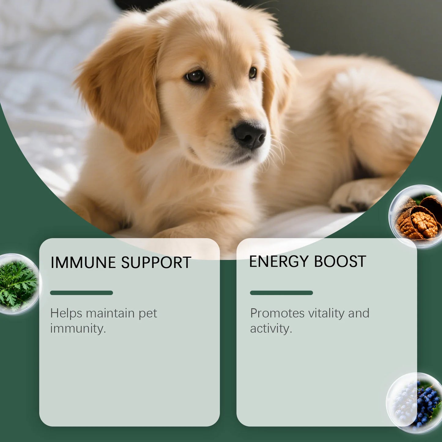 Kriath Pet Digestive Supplement Drops Digestive Comfort Gastrointestinal Health Immune Support Gentle Dog Nutrition Supplement