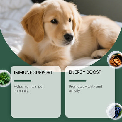 Kriath Pet Digestive Supplement Drops Digestive Comfort Gastrointestinal Health Immune Support Gentle Dog Nutrition Supplement