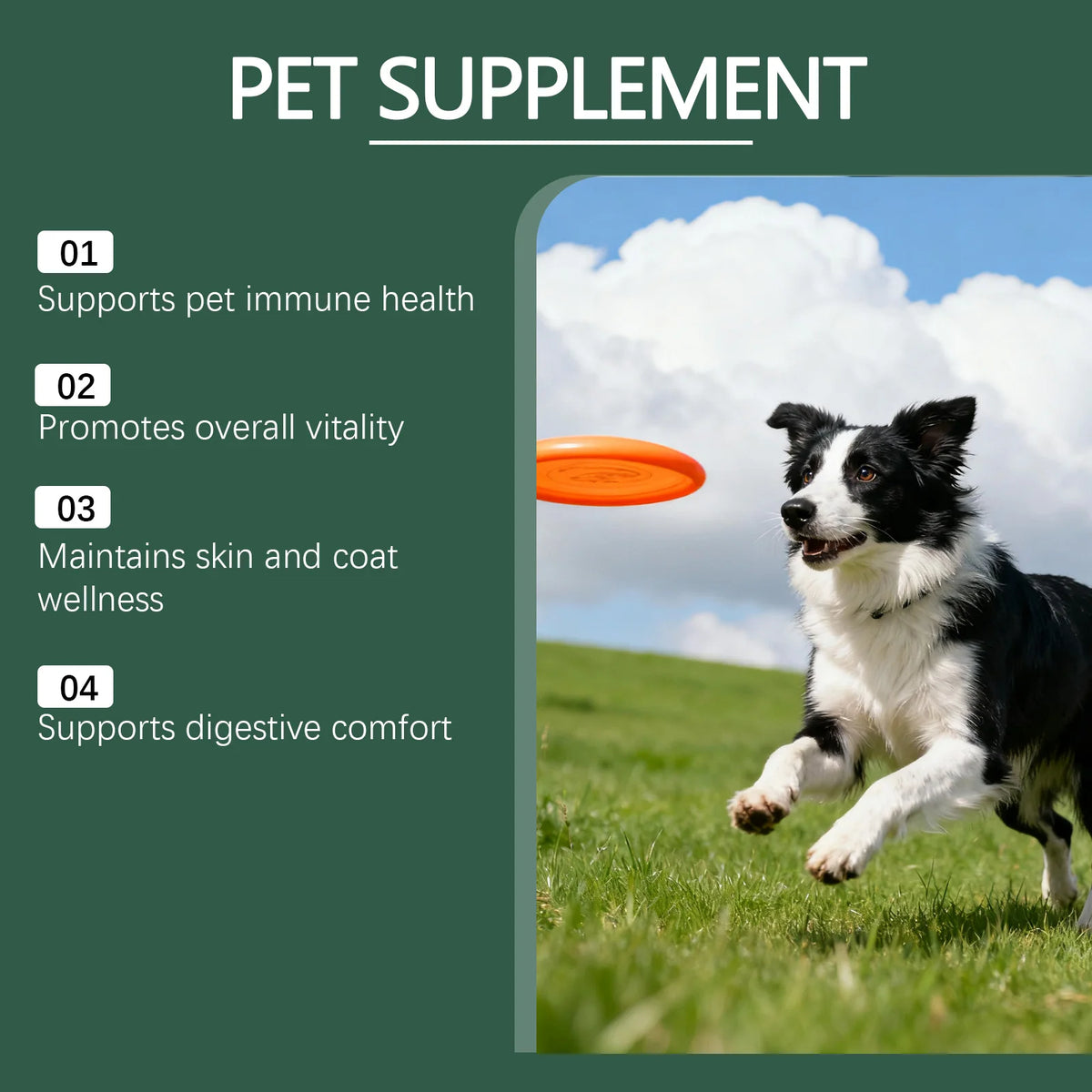 Kriath Pet Digestive Supplement Drops Digestive Comfort Gastrointestinal Health Immune Support Gentle Dog Nutrition Supplement